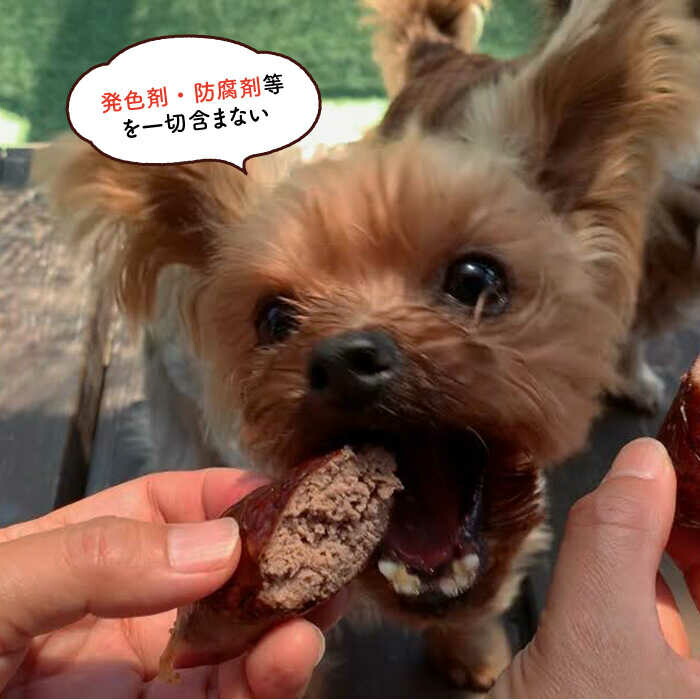 ふるさと納税 定期便12回 犬の無添加おかず 燻製の香りがたまらないスモークチキン いのししソーセージ わんこin食堂 Fcg043 Creeenti Cl