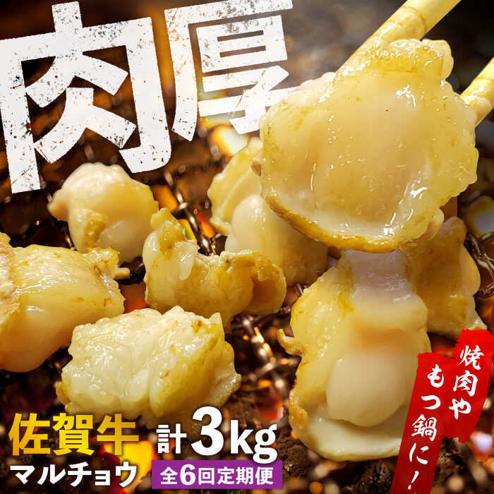 【ふるさと納税】【全6回定期便】 【脂が甘くてぷりっぷり！】佐賀牛ホルモン 焼肉用 小腸 計3kg（250g/袋）味付けなし 吉野ヶ里町/やきとり紋次郎[FCJ092]