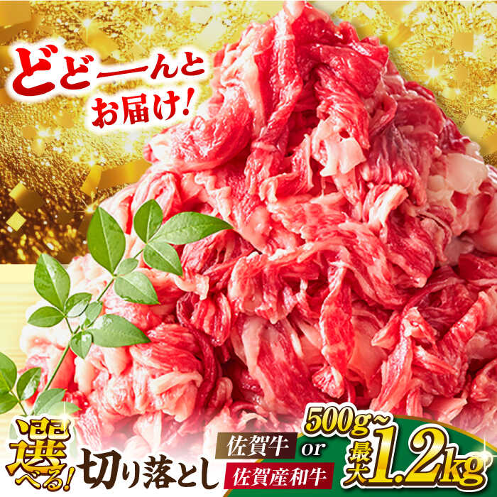 【ふるさと納税】【選べる量・発送月・肉種】【部位おまかせ】佐賀牛 or 佐賀産和牛 切り落とし（肩orバラ）500g/1kg/1.2kg 吉野ヶ里町 [FDB001/FDB006/FDB007]