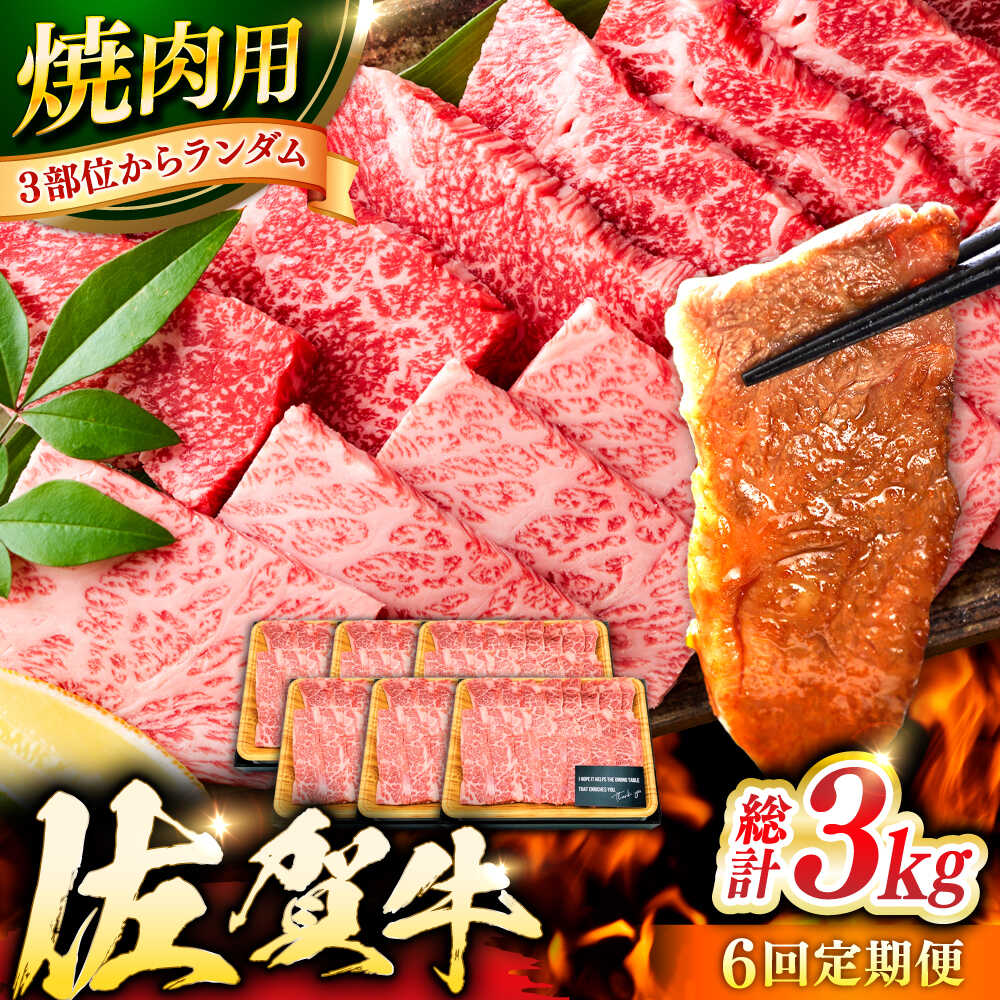 【ふるさと納税】【6回定期便】 艶さし！ 佐賀牛 焼肉用 計3kg （500g&times;6回） ※バラ・肩ロース・モモのいずれかの部位※ 吉野ヶ里町 [FDB034]｜佐賀県吉野ヶ里町