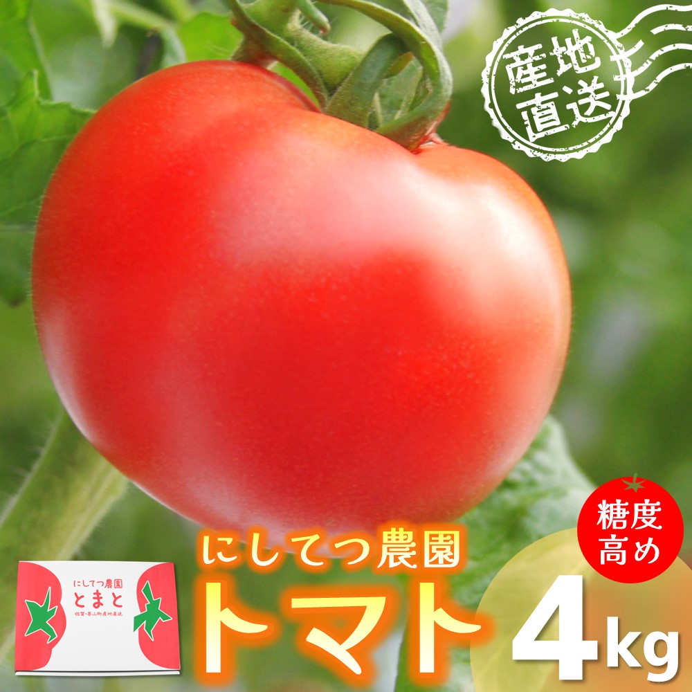 【ふるさと納税】【限定100セット】にしてつ農園トマト 4kg【トマト とまと ミディトマト 酸味 甘み 限定 安全×安心×糖度が高め】 A1-R056001