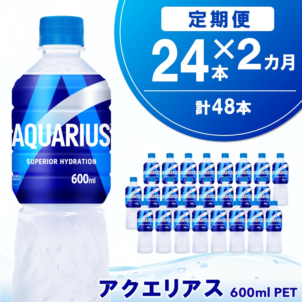 【ふるさと納税】【2カ月定期便】アクエリアス 600mlPET×24本(1ケース)【コカコーラ 熱中症対策 スポーツ飲料 スポーツドリンク 水分補給 カロリーオフ ペットボトル 健康 スッキリ ミネラル アミノ酸 クエン酸 リフレッシュ 常備 保存 買い置き】K090457