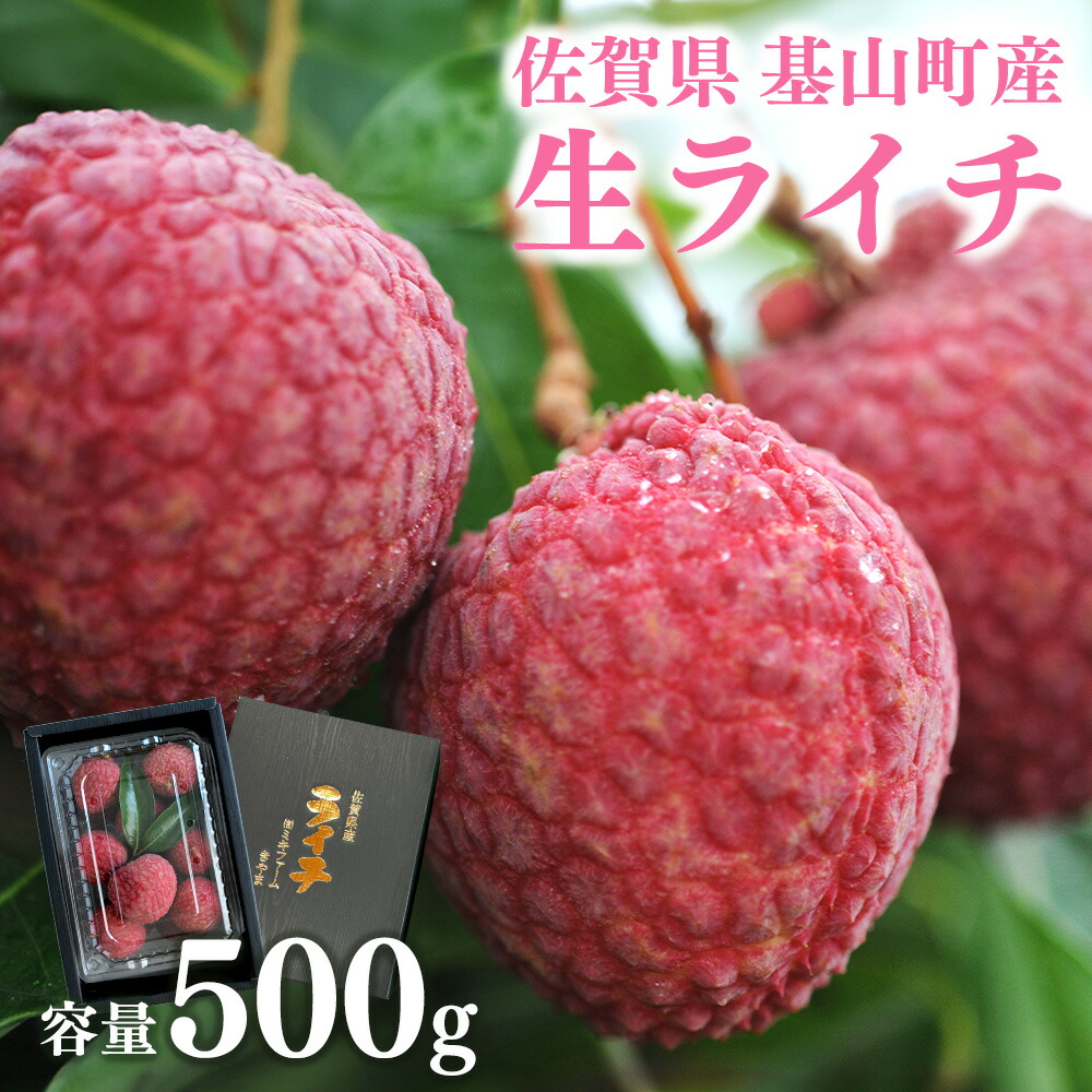 【ふるさと納税】【先行受付】佐賀県産ライチ 500g(贈答用)【生ライチ ライチ 生 基山町産 贈答用 貴重 国産 新鮮 フレッシュ 肉厚 500g お中元 贈り物】 A4-R060002