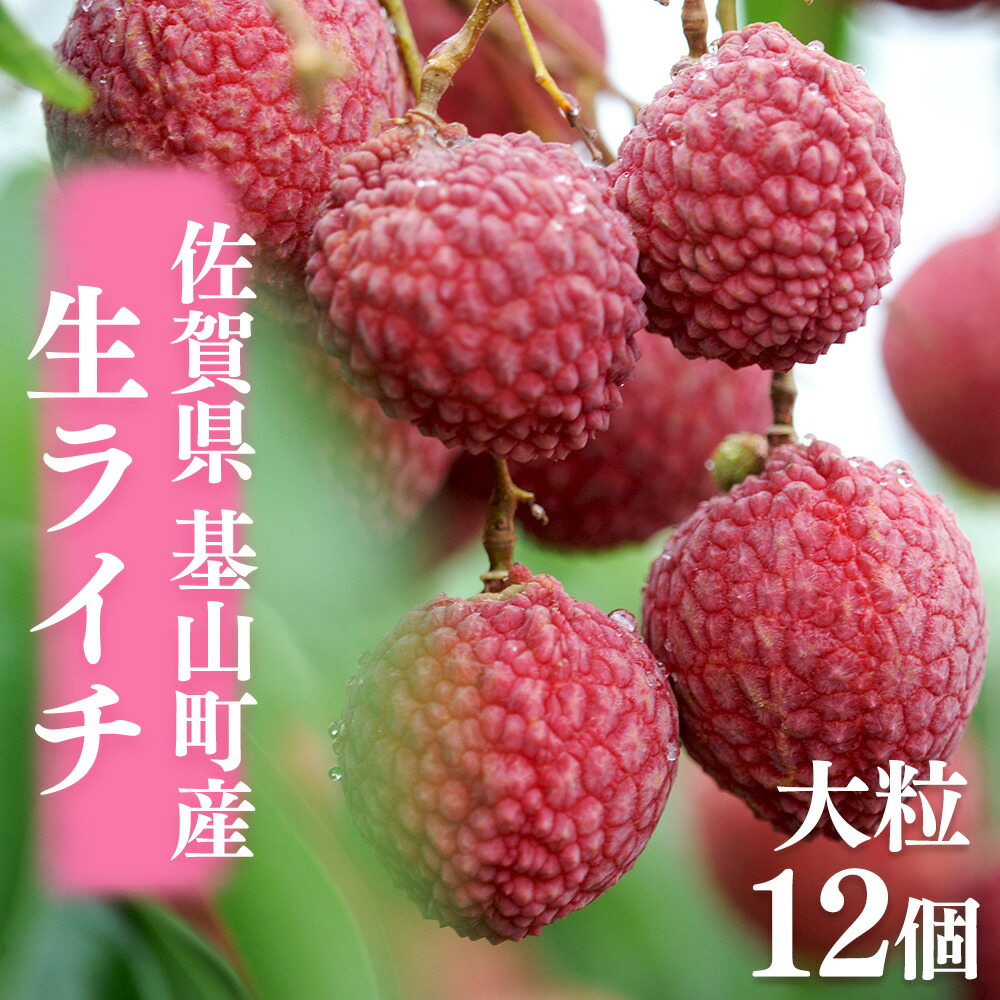 【ふるさと納税】【先行受付】佐賀県産ライチ 大粒12個入(贈答用)【生ライチ ライチ 生 基山町産 贈答用 貴重 国産 大粒 新鮮 フレッシュ 肉厚 お中元 贈り物】 A7-R060003