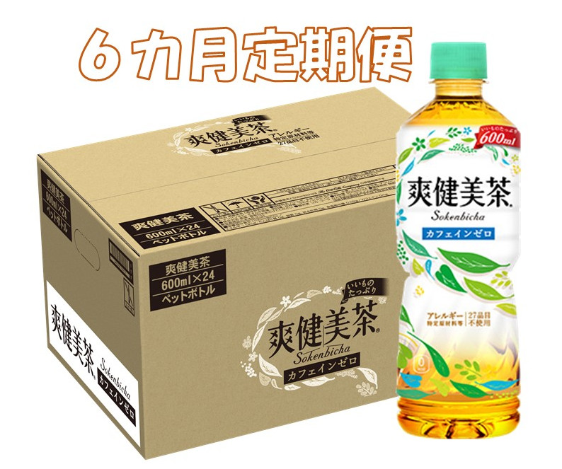 【ふるさと納税】C85-003R　６カ月定期便　爽健美茶　600mlPET（計６ケース）