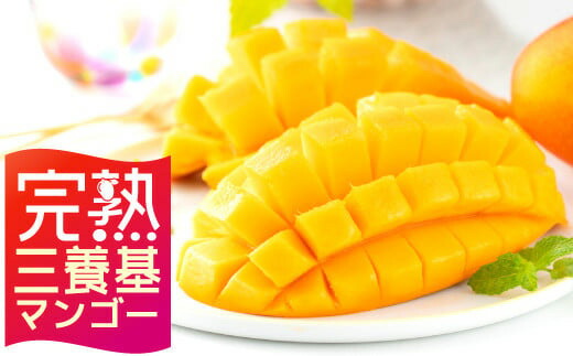 【ふるさと納税】先行予約【完熟三養基マンゴー】アップルマンゴー大玉 (約1kg)（2個）