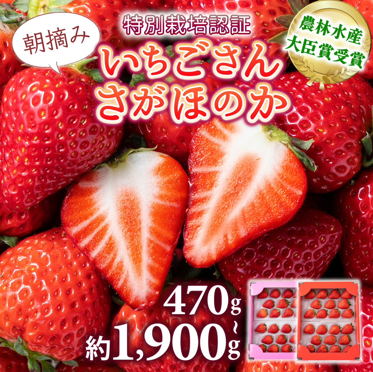 楽天市場】【ふるさと納税】【選べる容量・回数】佐賀県産いちご