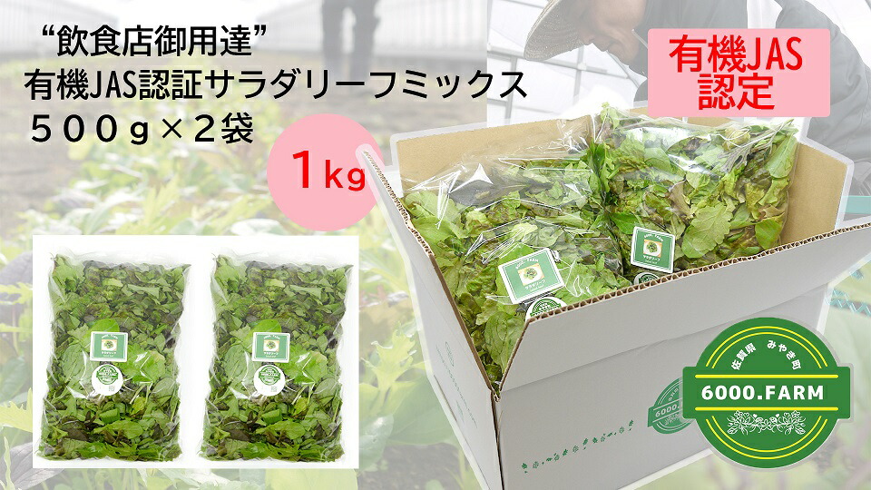 【ふるさと納税】【飲食店御用達】有機JAS認証サラダリーフMix(500g×２袋　合計１ｋｇ）（FV004）