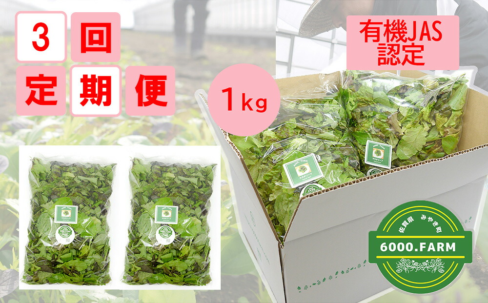 【ふるさと納税】【3回定期便】【飲食店御用達】有機JAS認証サラダリーフMix(500g×２袋　合計１ｋｇ）野菜 直送 新鮮（FV008）