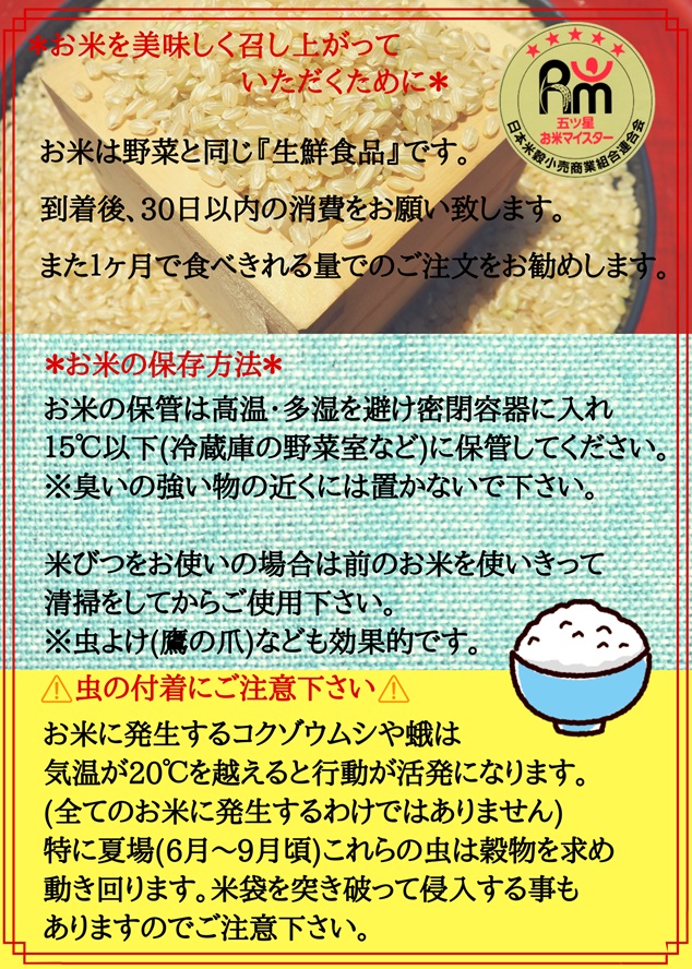 【ふるさと納税】≪玄米≫令和2年産『さがびより』5kg【五つ星お米マイスター厳選!】(CI053)
