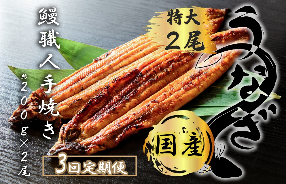 【ふるさと納税】【3回定期便】九州産　うなぎ職人手焼き　蒲焼　国産　有頭鰻 1尾あたり約200ｇ×2尾（合計約400ｇ以上）たれ・山椒セット（FK015）