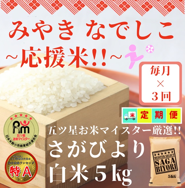 素敵な ふるさと納税 CI151_さがびより白米１０kg ５kg×２袋 佐賀県