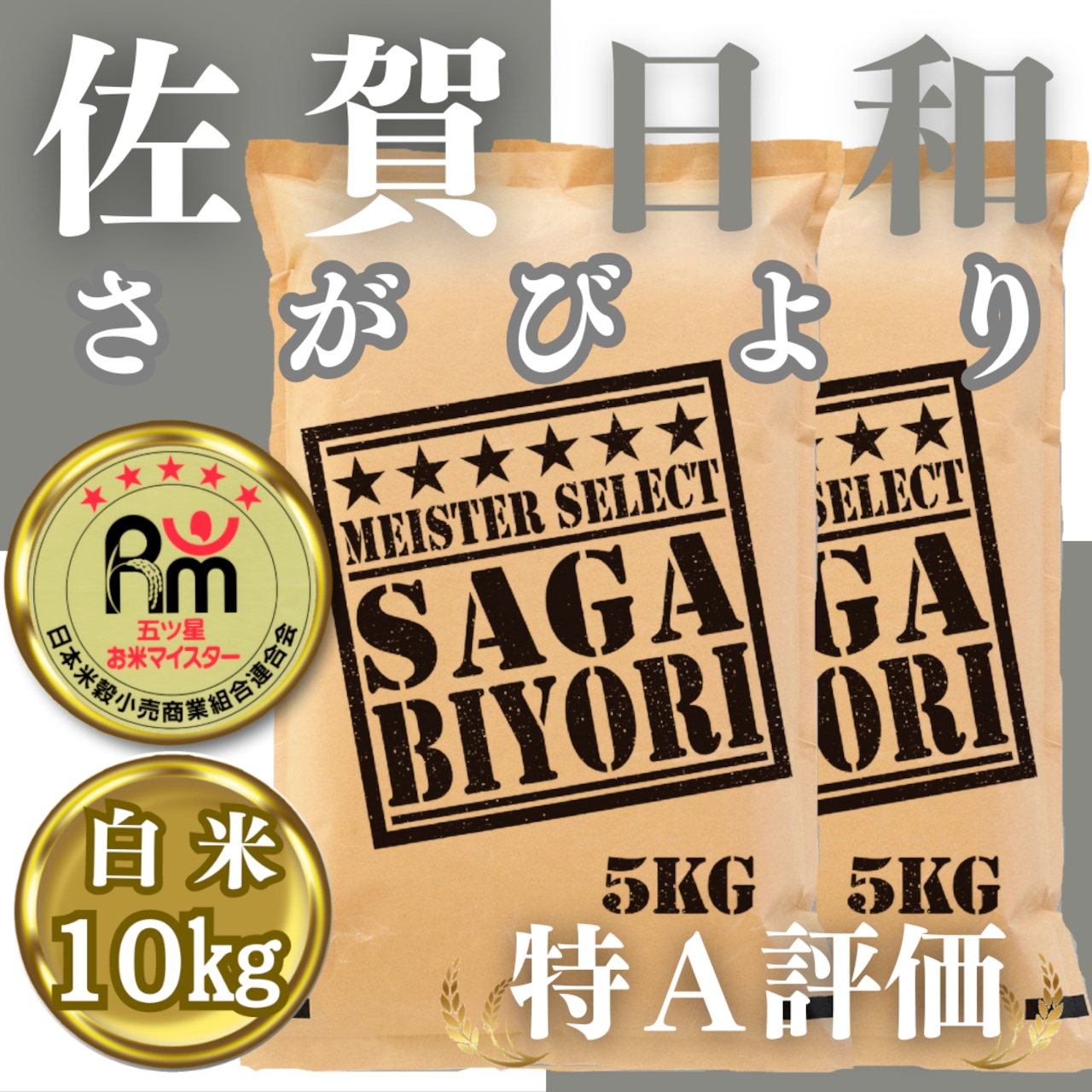 【ふるさと納税】白米さがびより１０ｋｇ（CIB73）