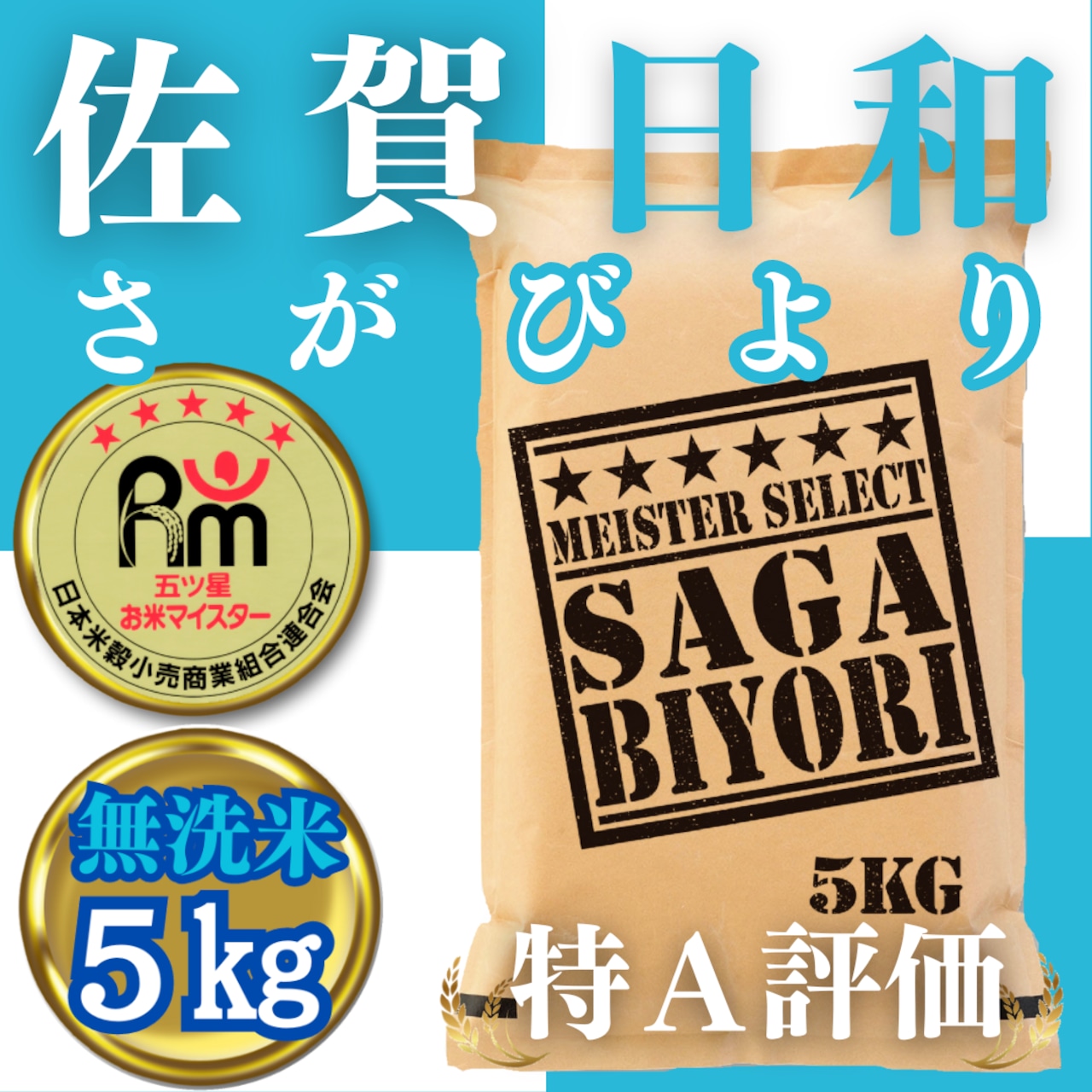 【ふるさと納税】無洗米さがびより５ｋｇ（CIB60）