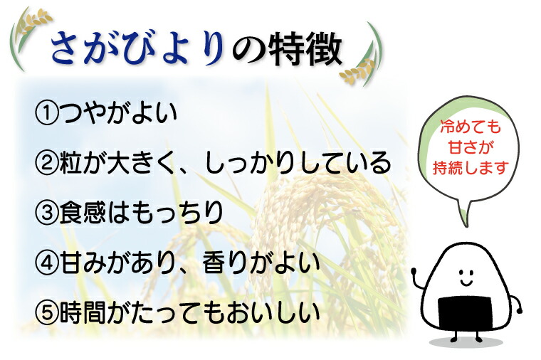 中華のおせち贈り物 ふるさと納税 五ツ星お米マイスターが選んだ逸品☆特A受賞さがびより 10kg×2 精米20kg お米 米 BG282  whitesforracialequity.org