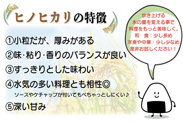 市場 ふるさと納税 3回定期便 五ツ星お米マイスターが選んだ逸品☆ひのひかり