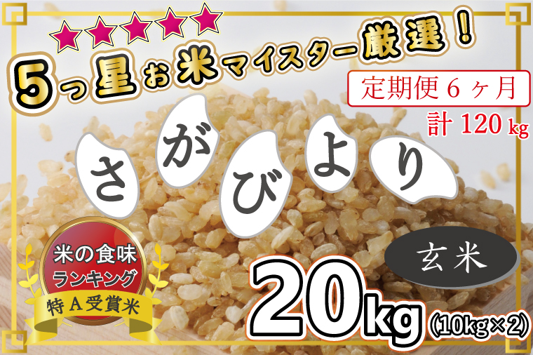 ふるさと納税 無洗米 3種食べ比べ 月5kg ( さがびより 夢しずく