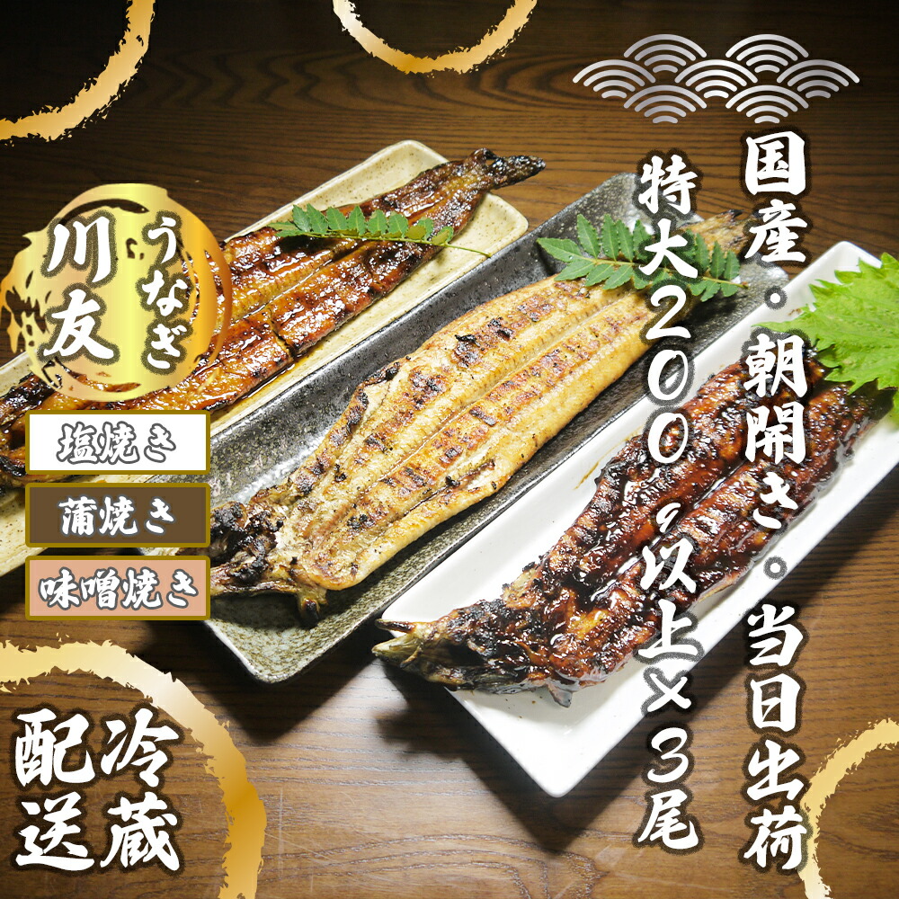 【ふるさと納税】【冷蔵発送】朝開き国産うなぎ 当日発送3尾（1尾あたり約200～230ｇ） 蒲焼き・ 塩焼き・味噌焼き 3種食べ比べ 国産鰻 ウナギ （AK006）