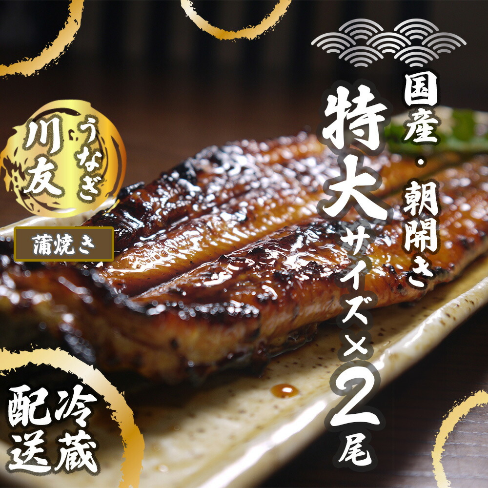 【ふるさと納税】【冷蔵発送】朝開き国産うなぎ 当日発送２尾（1尾あたり約200～230ｇ） 蒲焼き（タレ付）国産鰻 ウナギ(AK003）