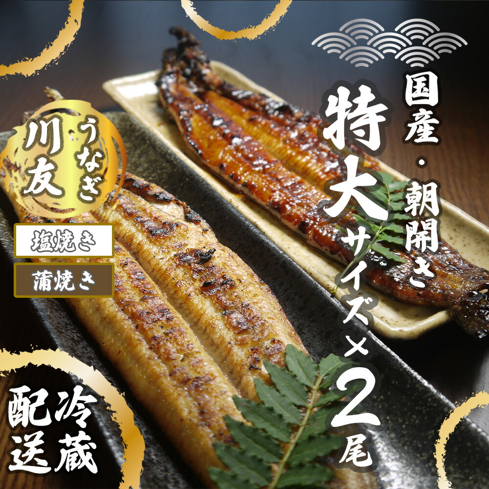 【ふるさと納税】【冷蔵発送】朝開き国産うなぎ 当日発送２尾（1尾あたり約200～230ｇ） 蒲焼き・ 塩焼き 国産鰻 ウナギ（AK004）