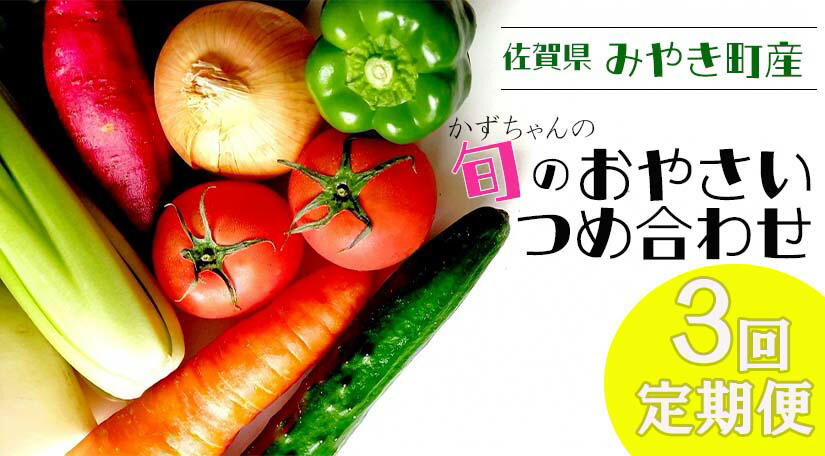 【ふるさと納税】【3回定期便】かずちゃんの朝採り新鮮野菜セット毎月お届け みやき町産（CC003)