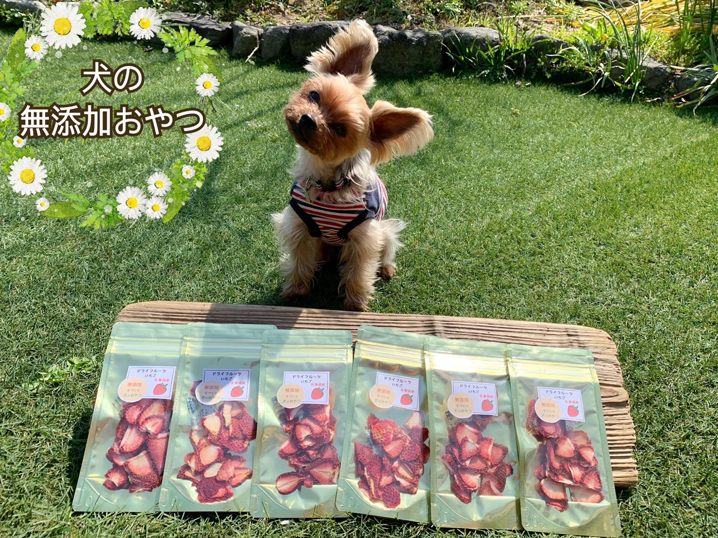 再入荷！】 くろいぬ様専用 犬の無添加おやつ ienomat.com.br