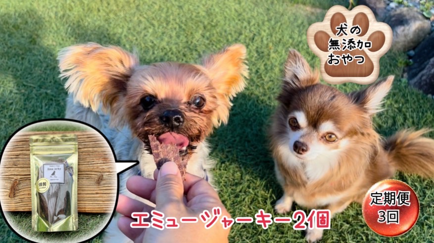 最大84％オフ！ 2年保証 犬の無添加おやつ☆ダイエット中のわんちゃんにも嬉しい高タンパク 低脂肪のエミュージャーキー2個 FB108 paulhuntingford.com paulhuntingford.com