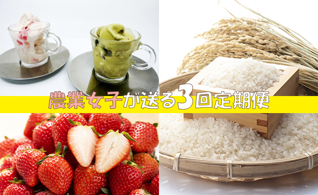 【ふるさと納税】中山さんがお届けするこだわり農産物&加工品　年３回セット（AE029）