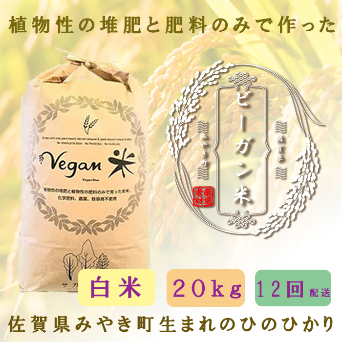 【ふるさと納税】【12か月定期便】ビーガン米20kg　白米【植物性で育てた完全無農薬のサガンベジブランド】（CQ032）