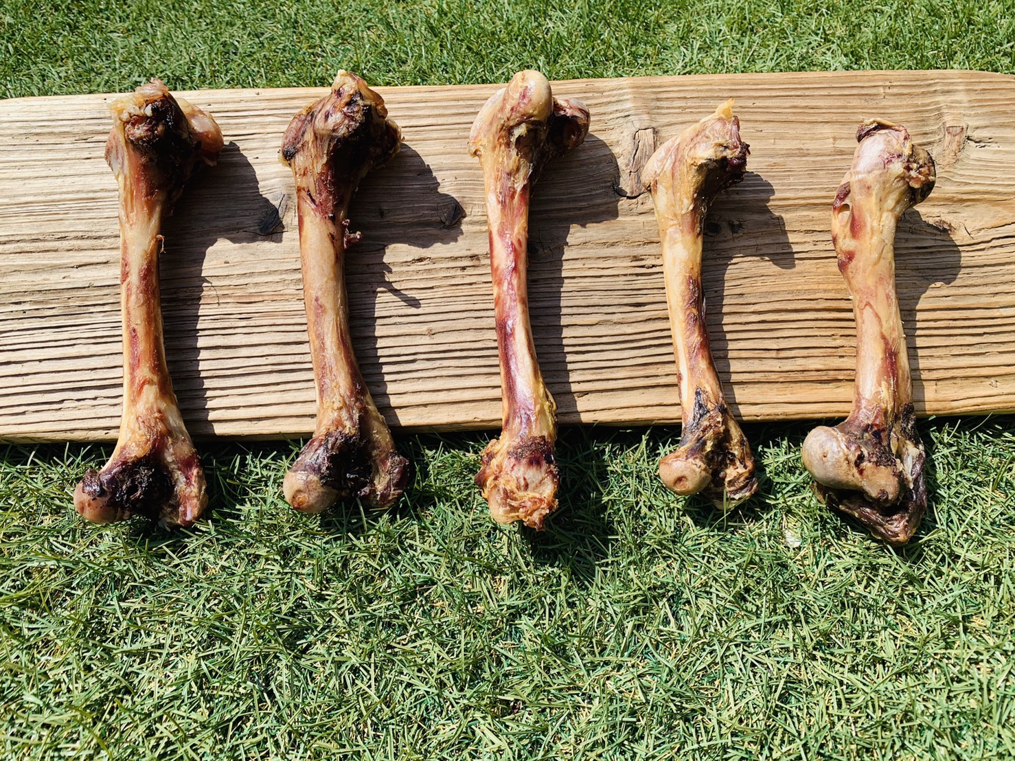 楽天市場 ふるさと納税 犬の無添加おやつ 天然いのししの骨ガム大型犬用 Dt005 佐賀県みやき町