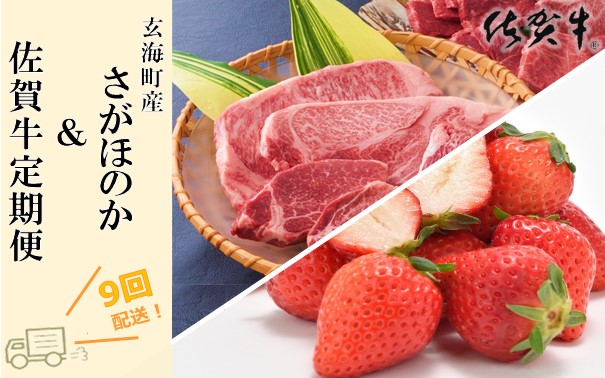 楽天市場 ふるさと納税 玄海町産さがほのか 佐賀牛定期便 9回 佐賀県玄海町