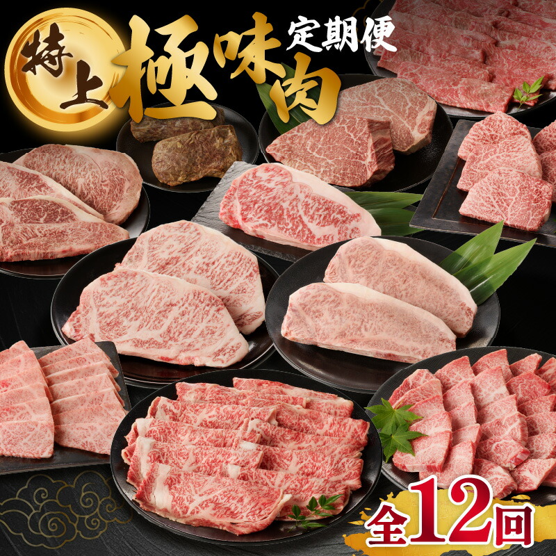 【ふるさと納税】【特上】佐賀牛　極味肉定期便／ 定期便 12回 高級 肉 牛肉 佐賀牛 ステーキ ロース ヒレ モモ ローストビーフ カルビ サーロインすき焼き しゃぶしゃぶ 佐賀 牛スライス 焼肉 国産 佐賀県 玄海町 冷凍 12回定期便
