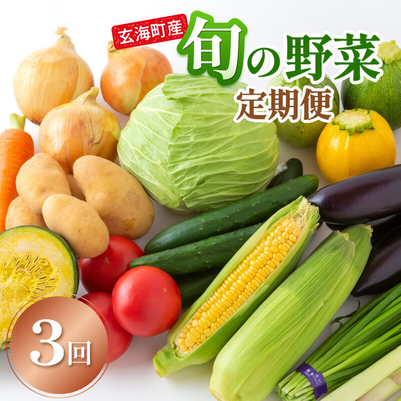 【ふるさと納税】玄海町産　旬の野菜定期便3か月
