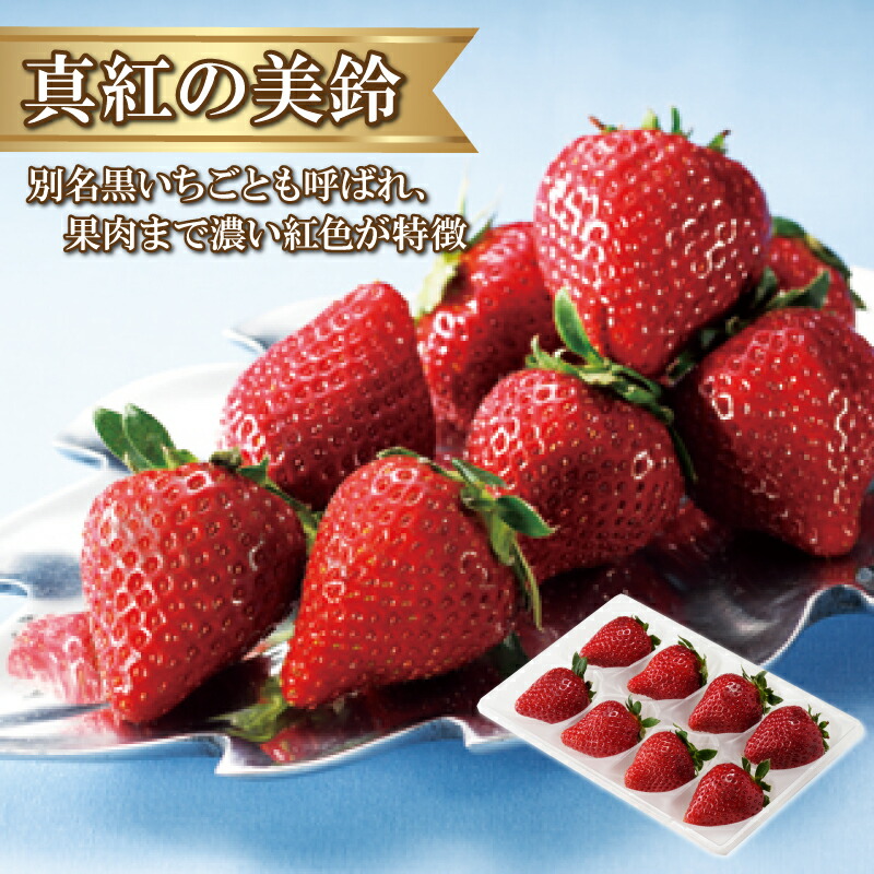 楽天市場 ふるさと納税 12月下旬より配送 希少品種 黒いちご 真紅の美鈴 しんくのみすず 佐賀県玄海町