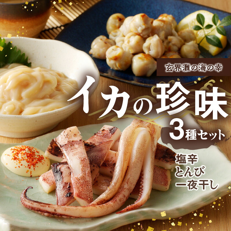 【ふるさと納税】イカの珍味 3点セット / いか 烏賊 一夜干し 干物 塩辛 とんび 酒の肴 おつまみ 丸福水産 冷凍 国産 佐賀県 玄海町 送料無料|佐賀県玄海町