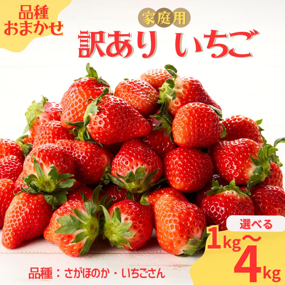 【ふるさと納税】★予約受付★平川いちご農園【2027年2月～5月 順次配送】【内容量選べる】玄海町産いちご（家庭用・訳あり）1kg ～ 4kg ／ 送料無料 いちご さがほのか いちごさん 希少 果物 くだもの フルーツ デザート 予約受付｜佐賀県玄海町
