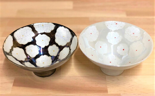 【ふるさと納税】有田焼 花真珠黒白有りの実 利久窯今めかしい飯碗 陶窯みか烏滸がましい AA24-8