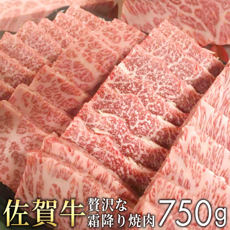 工場直送 Fkr 佐賀牛 焼肉用 750g 佐賀県大町町w 想像を超えての Almeidagomes Eng Br