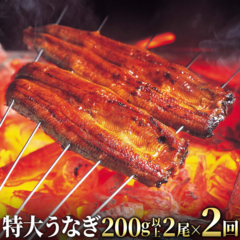 激安特価 楽天市場 ふるさと納税 Ysr 到着日指定可能 定期便 特大 特選うなぎ 0g以上 2尾 2回 佐賀県大町町 格安 Www Jurnalselulosa Org