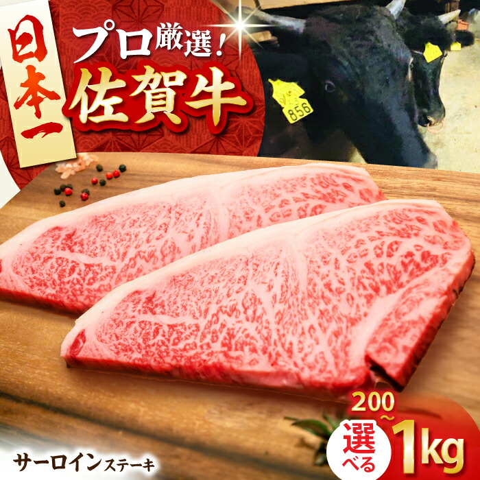 【ふるさと納税】【選べる容量・回数】佐賀牛 サーロイン ステーキ （ 200g / 400g / 600g / 1kg ） 【田中畜産牛肉店】 [HBH007]