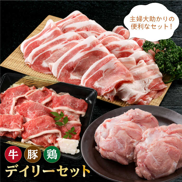 【ふるさと納税】三栄のデイリーセット＜牛 豚 鶏＞ 【肉の三栄】 [HAA059] / 佐賀牛 黒毛和牛 牛肉 肉 切り落とし 豚 ありたどり モモ 冷凍 送料無料 17000 セット｜佐賀県江北町