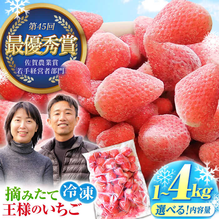 【ふるさと納税】【選べる容量】王様のいちご 摘みたてこおりいちご( 冷凍いちご )  1kg / 2kg / 4kg 【むらおか農園】 [HAF007] / いちごさん さがほのか 果物 くだもの フルーツ いちご 苺 イチゴ 冷凍 夏 アイス 冷凍いちご こおりいちご 送料無料