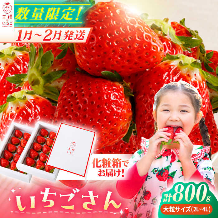 王様のいちご いちごさん 400g 2箱フルーツ 果物 苺 イチゴ ギフト Haf009 日本最大のブランド