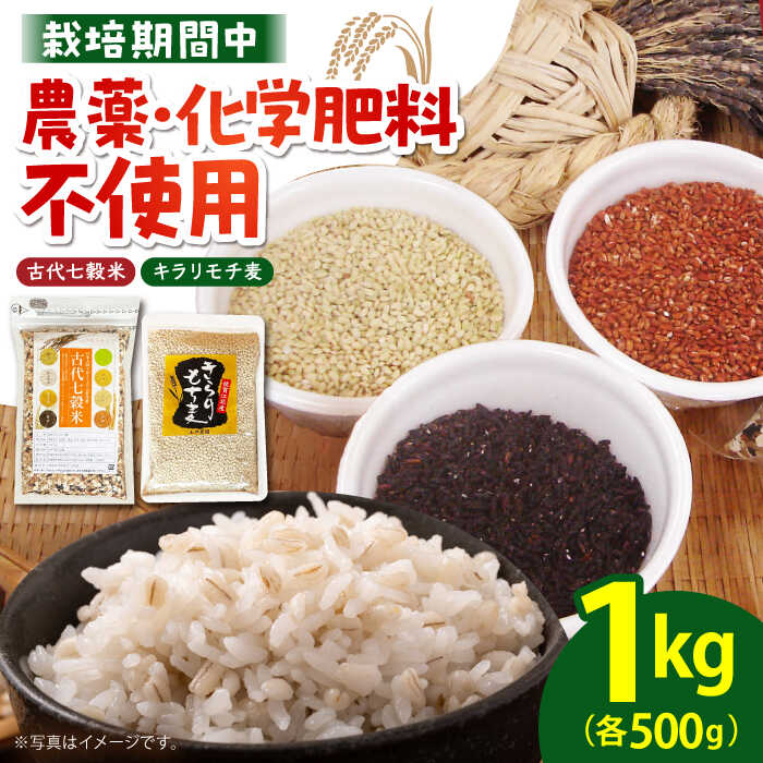 【ふるさと納税】【からだが喜ぶひとときを】古代七穀米・キラリモチ麦セット（各500g）（【だいちの家】雑穀 雑穀米 麦 穀物[HAG035]