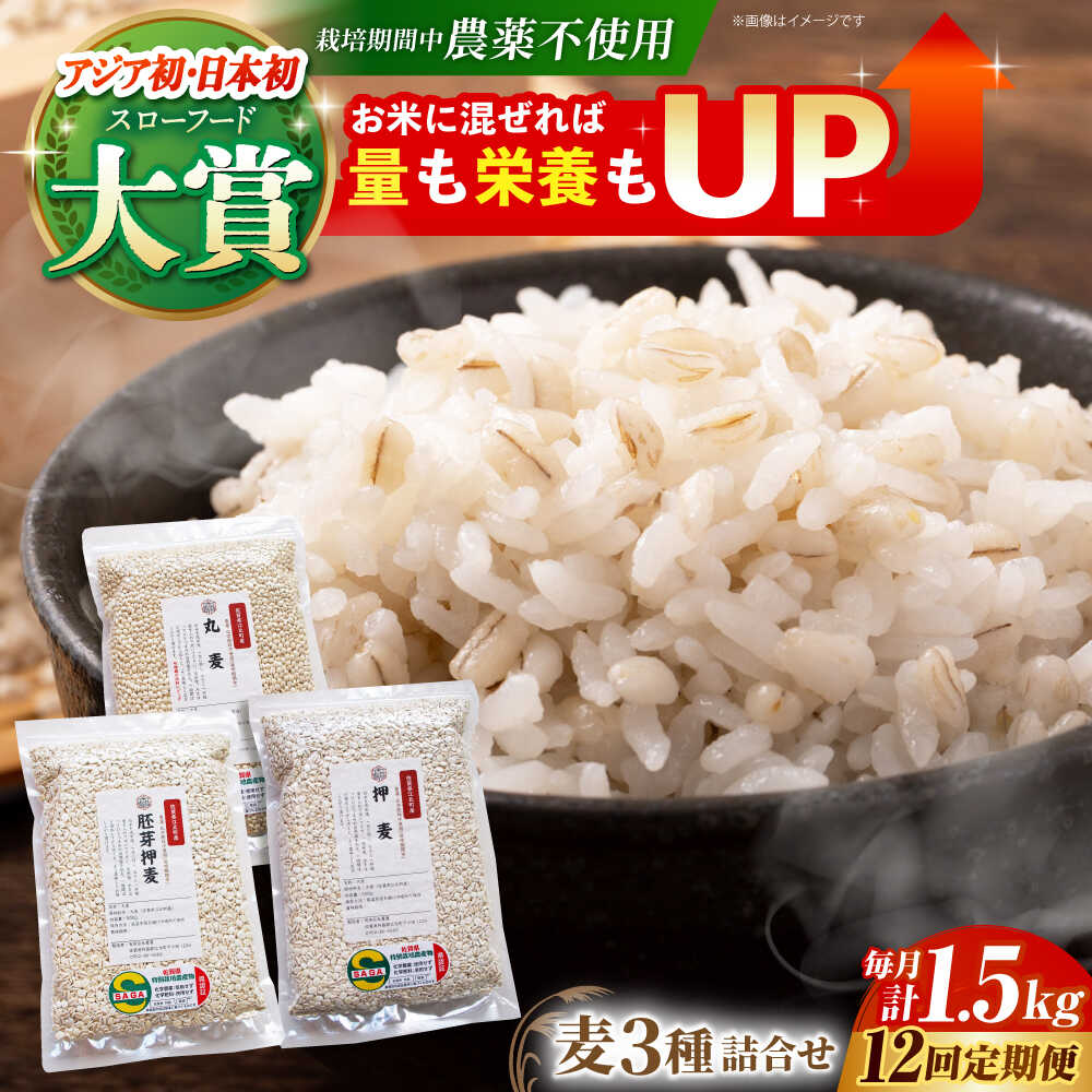 【ふるさと納税】【全12回定期便】麦詰合 1.5kg ( 500g 3種 ) 江北町産 サチホゴールデン 【葦農】 [HAJ033]