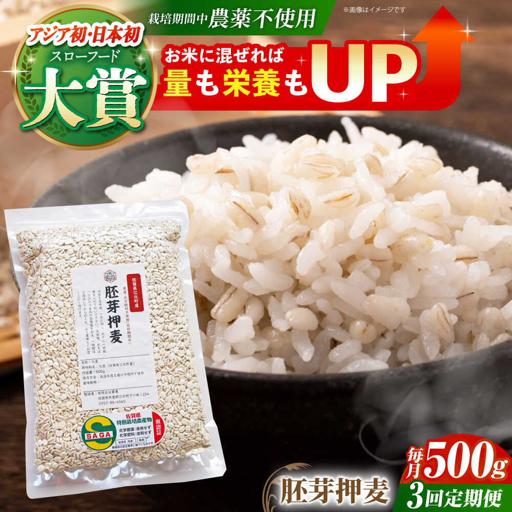【ふるさと納税】【全3回定期便】胚芽押麦 500g ( 1等麦使用 ) 江北町産 サチホゴールデン 【葦農】 [HAJ034]