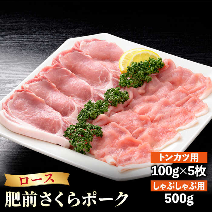 【ふるさと納税】肥前さくらポーク 詰め合わせB【JAさが 杵島支所】 [HAM025]｜佐賀県江北町