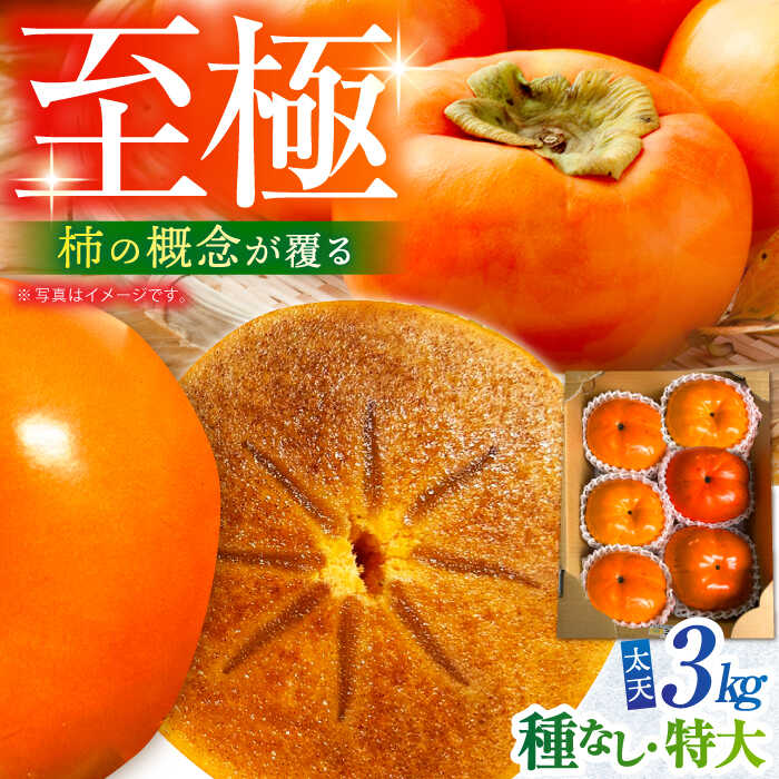 【ふるさと納税】【先行予約】【10月下旬～12月上旬発送】種なし柿 太天・渋抜き柿 3kg【小林農園】[HAX002] / 柿 かき カキ 種なし たねなし柿 食品 フルーツ 果物 くだもの 送料無料 佐賀県 江北町 秋 旬 19000 19000円｜佐賀県江北町 13,680円
