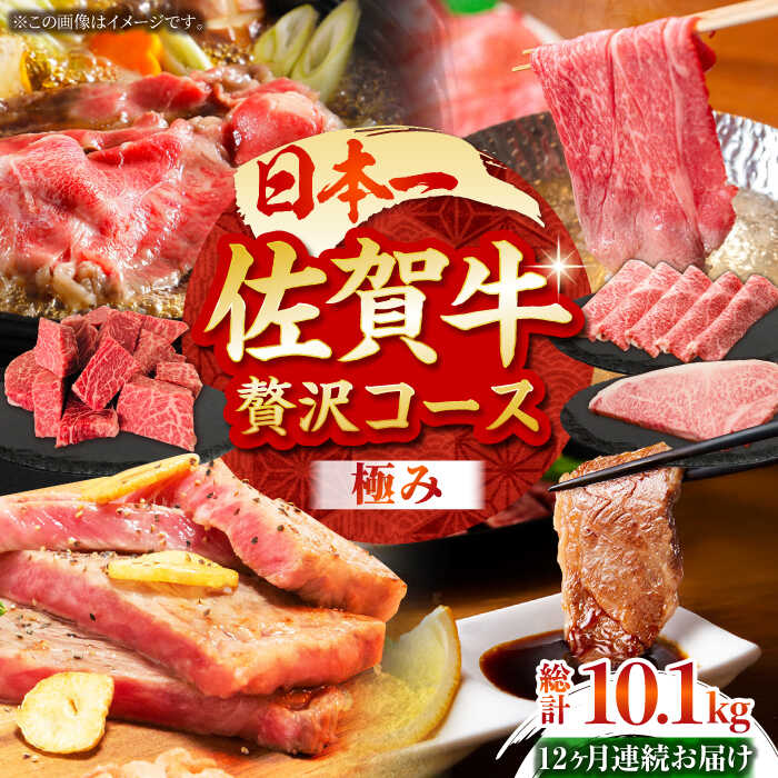【ふるさと納税】【2度の農林水産大臣賞】【全12回定期便】佐賀牛 贅沢コース＜極み＞【田中畜産牛肉店】[HBH135] 定期便 定期 黒毛和牛 牛肉 ヒレ ステーキ スライス 焼肉 国産 牛肉 サーロイン 送料無料 冷凍