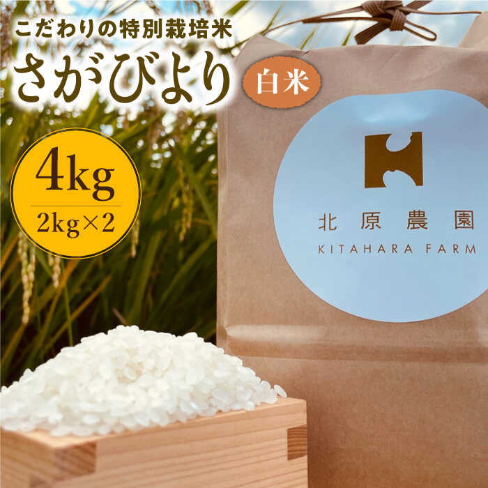 楽天市場】【ふるさと納税】さがびより 10kg（玄米 5kg×2袋）【農薬、化学肥料を極限まで減らした、ひなたむらのお米】特A米 特A評価 佐賀  [HAC003] : 佐賀県江北町